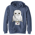 Harry Potter Kids' Anime Hedwig Mail