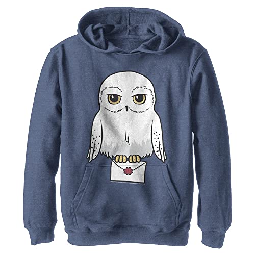 Harry Potter Kids' Anime Hedwig Mail