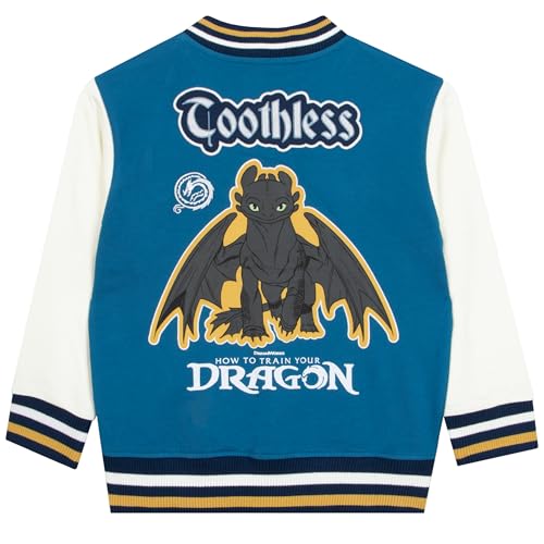 How To Train Your Dragon Boys Jacket, Toothless Kids Bomber Jacket, Dragon Jackets For Boys
