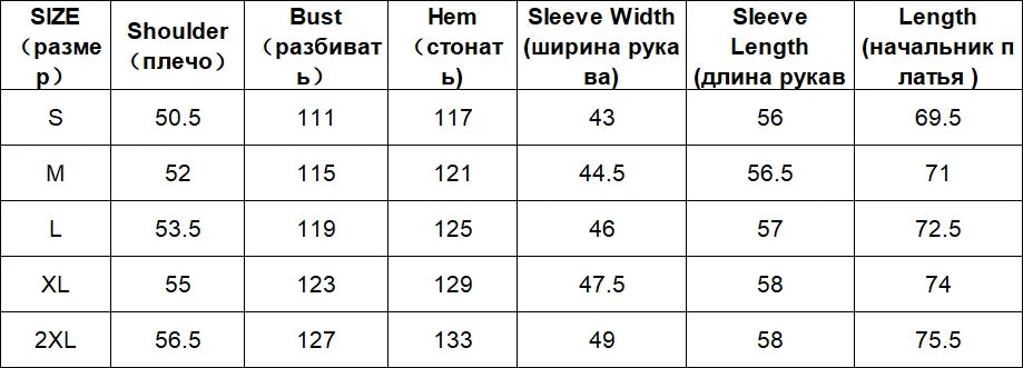CHIC VEN Women Shirt Long Sleeve Single Breasted New Loose Casual Embroidered Plaid Blouses Retro Female Top Spring Summer 2025