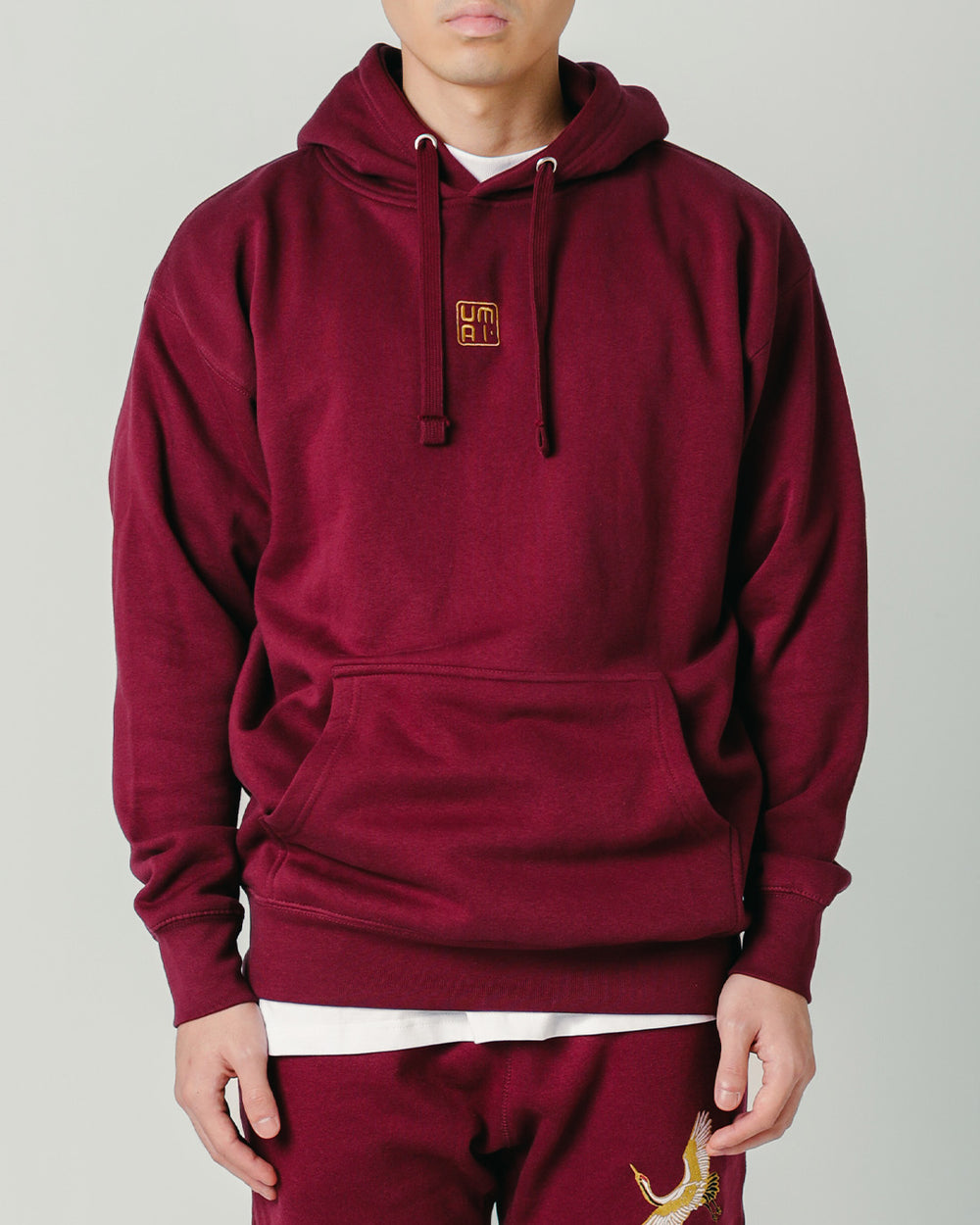 GOLDEN FLIGHT • Hoodie