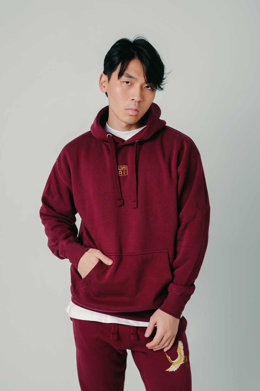 GOLDEN FLIGHT • Hoodie